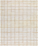 Becki Owens Kamey BOKY-2303 Hand Woven Indoor Area Rug by LIVABLISS