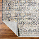 Becki Owens x LIVABLISS Margaret BOMG-2308 Taupe Area Rug