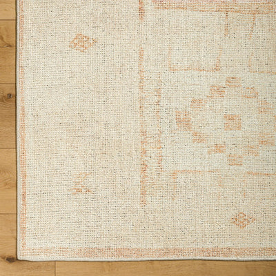 Solana BOOC-2300 Burnt-Orange Area Rug by Becki Owens x LIVABLISS