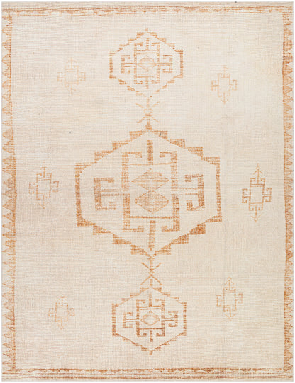Becki Owens x LIVABLISS Solana BOOC-2301 Ivory Area Rug