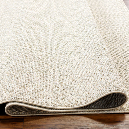 Becki Owens Birdie BORD-2303 Ivory Area Rug by LIVABLISS