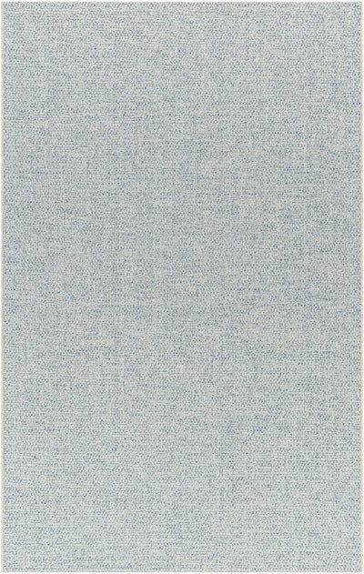 Birdie BORD-2304 Light Gray Area Rug by Becki Owens x LIVABLISS