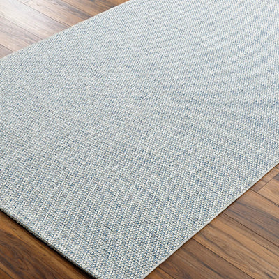 Birdie BORD-2304 Light Gray Area Rug by Becki Owens x LIVABLISS