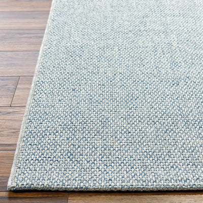 Birdie BORD-2304 Light Gray Area Rug by Becki Owens x LIVABLISS