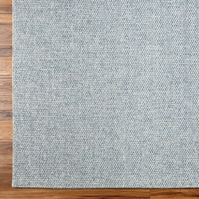 Birdie BORD-2304 Light Gray Area Rug by Becki Owens x LIVABLISS