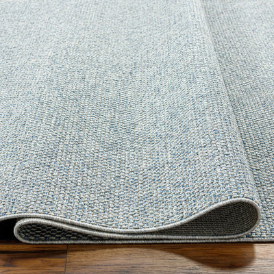 Birdie BORD-2304 Light Gray Area Rug by Becki Owens x LIVABLISS
