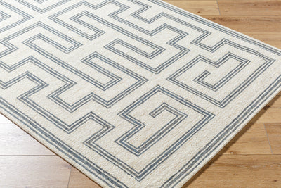 Surya Bournemouth BOT-2306 Ivory Area Rug by LIVABLISS