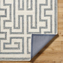 Surya Bournemouth BOT-2306 Ivory Area Rug by LIVABLISS