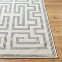 Surya Bournemouth BOT-2306 Ivory Area Rug by LIVABLISS