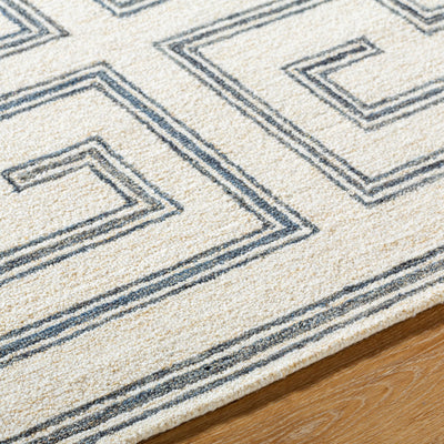 Surya Bournemouth BOT-2306 Ivory Area Rug by LIVABLISS