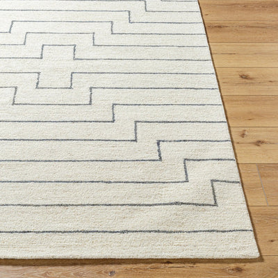 Bournemouth BOT-2309 Ivory Area Rug by LIVABLISS