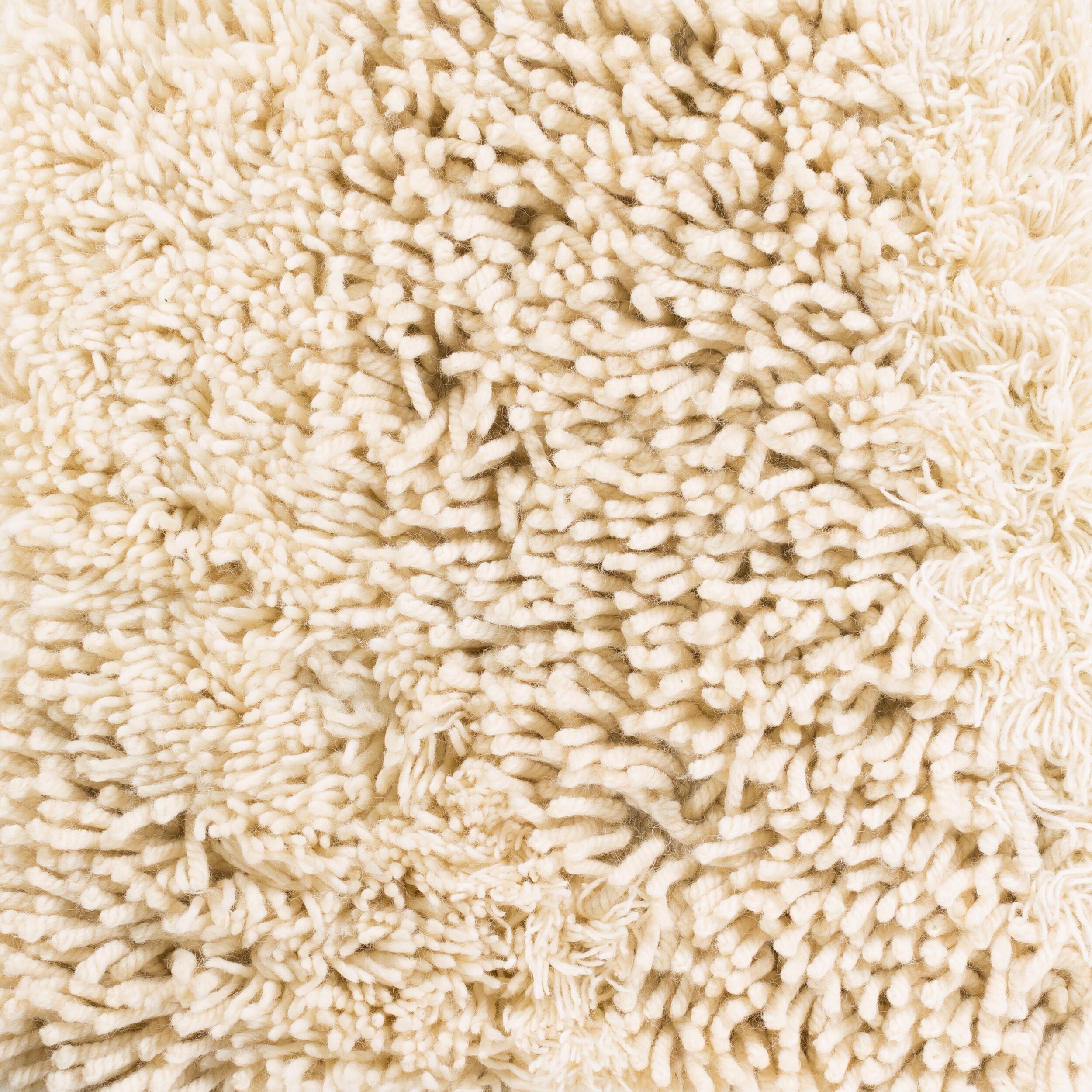 Surya Berkley BRK-3300 Cream Area Rug by LIVABLISS