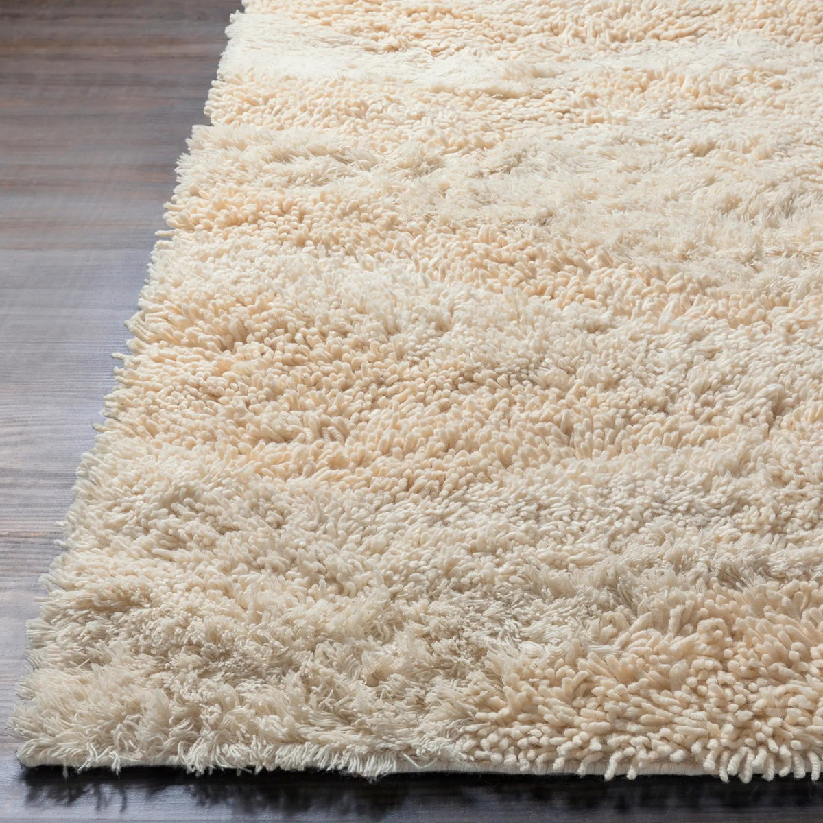 Berkley BRK-3300 Cream Area Rug by LIVABLISS