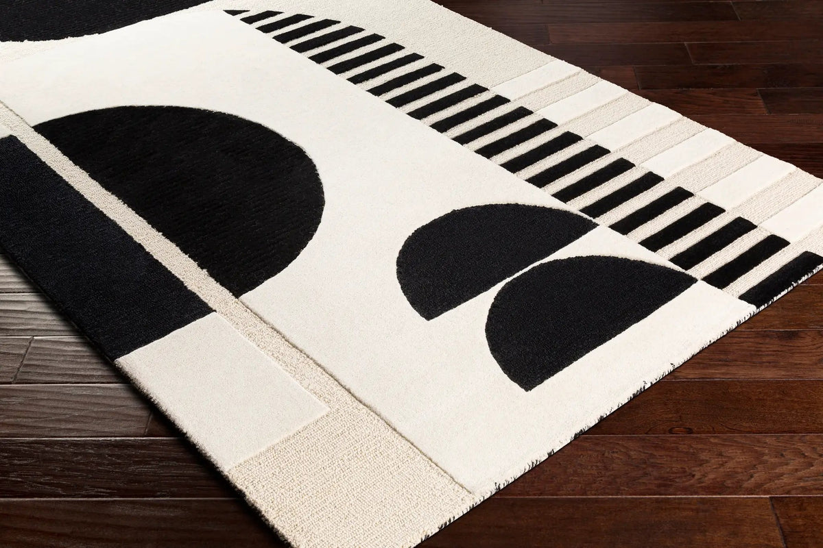 Brooklyn BRO-2304 Black Area Rug by LIVABLISS