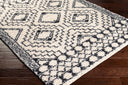 Surya Beni Shag BSH-2300 Off-White Area Rug by LIVABLISS