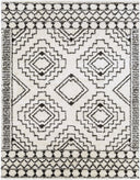 Surya Beni Shag BSH-2300 Off-White Area Rug by LIVABLISS