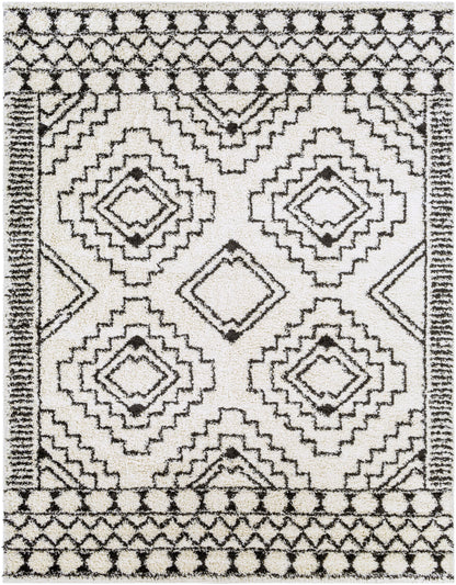Surya Beni Shag BSH-2300 Off-White Area Rug by LIVABLISS