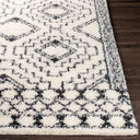 Surya Beni Shag BSH-2300 Off-White Area Rug by LIVABLISS