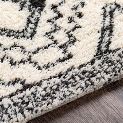 Surya Beni Shag BSH-2300 Off-White Area Rug by LIVABLISS
