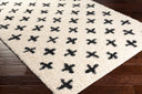 Surya Beni Shag BSH-2304 Off-White Area Rug by LIVABLISS