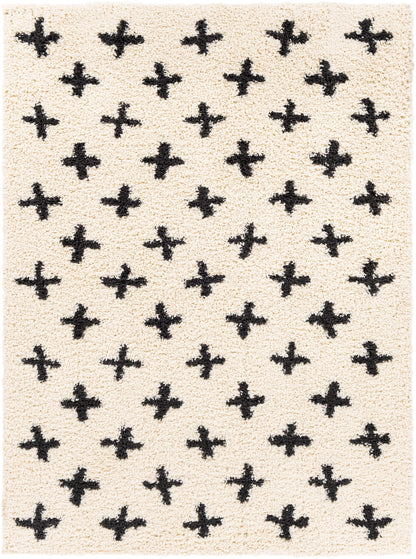 Surya Beni Shag BSH-2304 Off-White Area Rug by LIVABLISS
