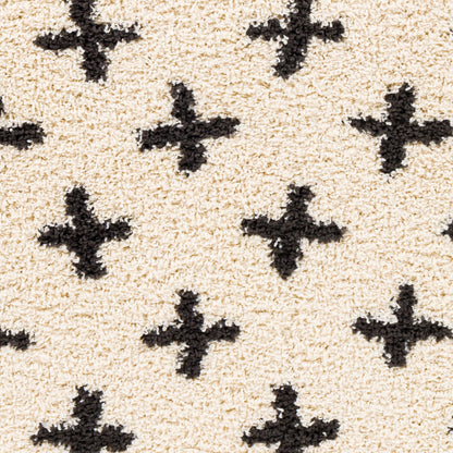 Surya Beni Shag BSH-2304 Off-White Area Rug by LIVABLISS