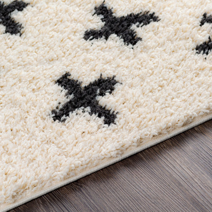 Surya Beni Shag BSH-2304 Off-White Area Rug by LIVABLISS