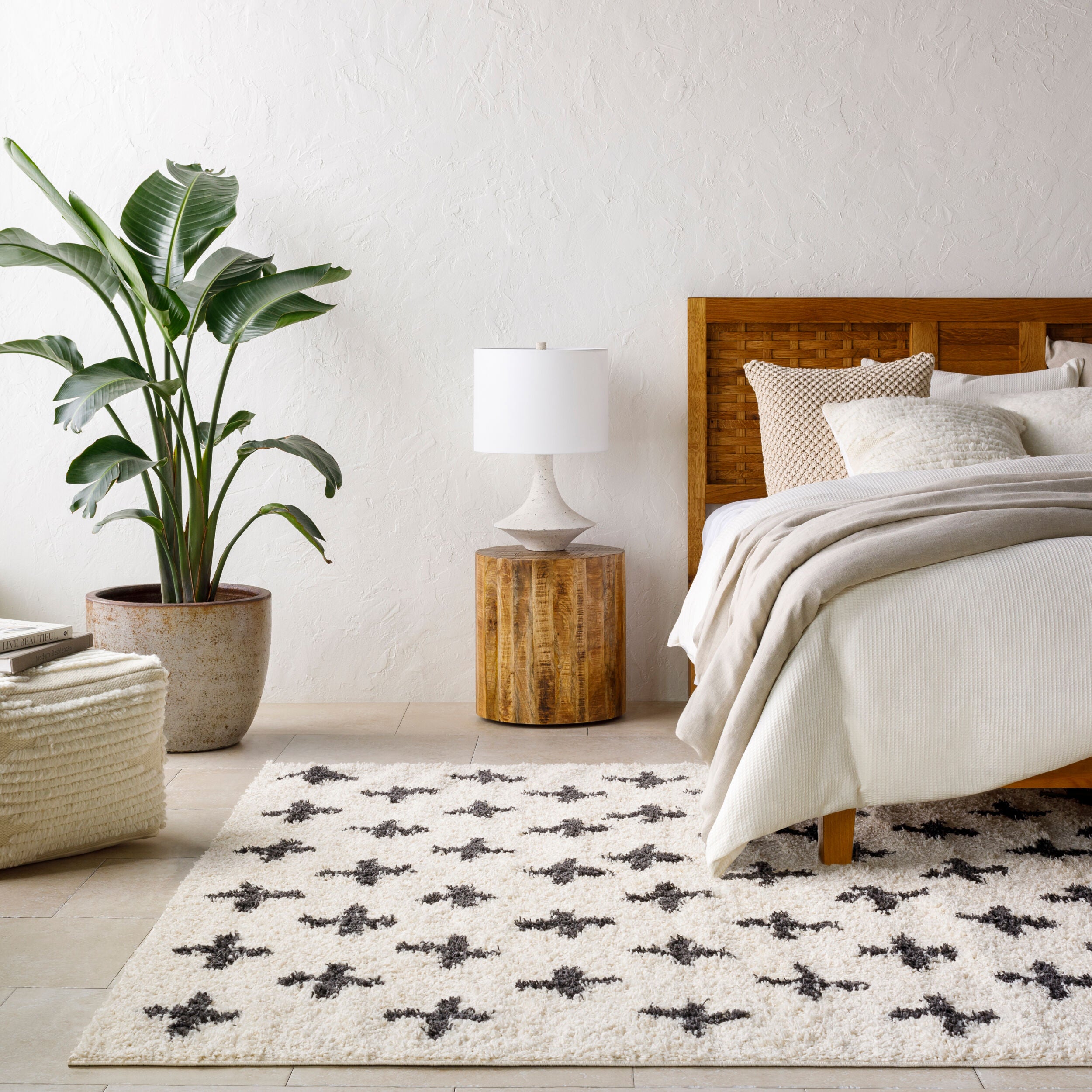 Surya Beni Shag BSH-2304 Off-White Area Rug by LIVABLISS