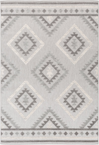 Surya Big Sur BSR-2313 Charcoal Area Rug by LIVABLISS