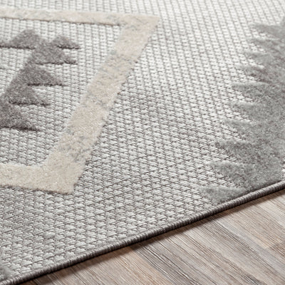 Surya Big Sur BSR-2313 Charcoal Area Rug by LIVABLISS