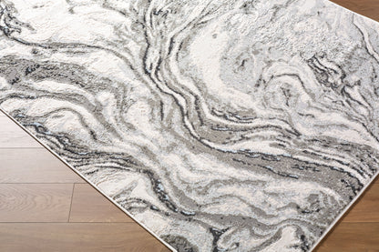 Amman BTA-2301 Light Slate Area Rug