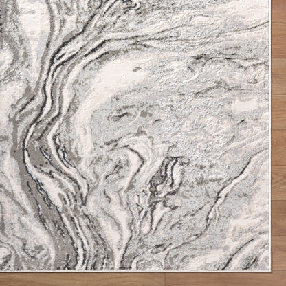 Amman BTA-2301 Light Slate Area Rug