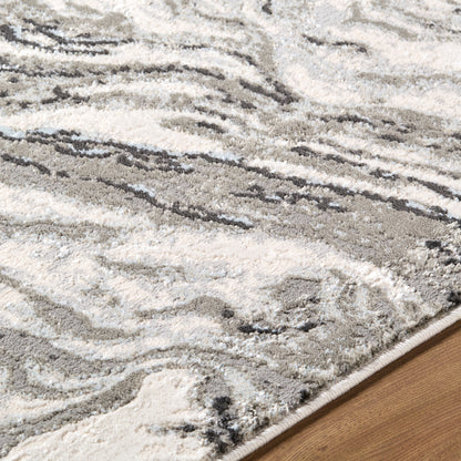 Amman BTA-2301 Light Slate Area Rug