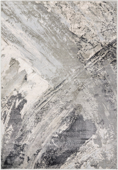 Surya Amman BTA-2304 Charcoal Area Rug by LIVABLISS