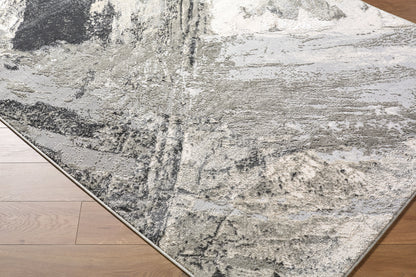 Surya Amman BTA-2304 Charcoal Area Rug by LIVABLISS