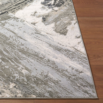 Surya Amman BTA-2304 Charcoal Area Rug by LIVABLISS