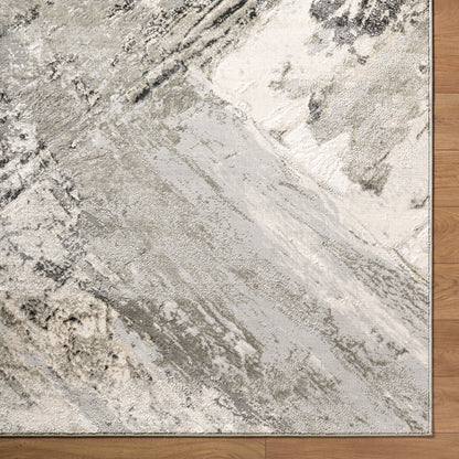 Surya Amman BTA-2304 Charcoal Area Rug by LIVABLISS