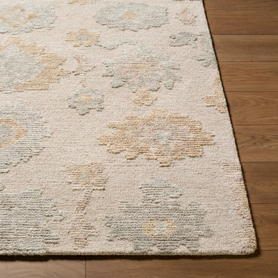 LIVABLISS Baku BUK-2301 Beige Area Rug