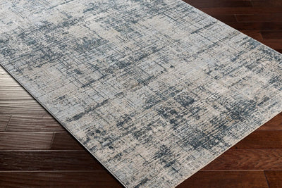 Brunswick BWK-2300 Pale Blue Area Rug by LIVABLISS