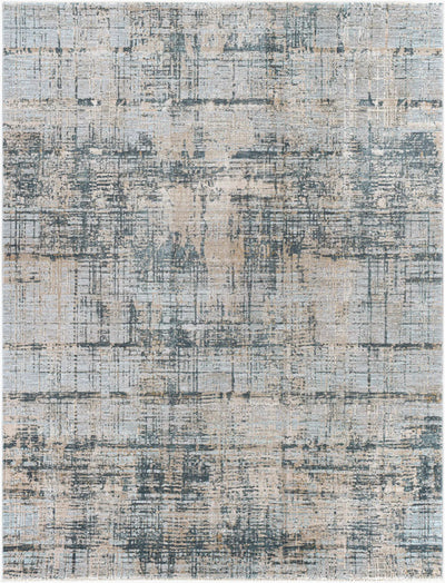 Brunswick BWK-2300 Pale Blue Area Rug by LIVABLISS