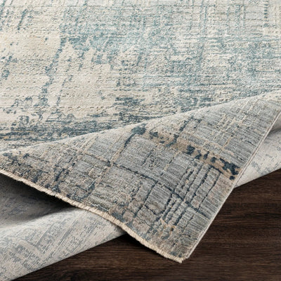 Brunswick BWK-2300 Pale Blue Area Rug by LIVABLISS