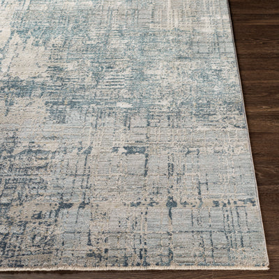 Brunswick BWK-2300 Pale Blue Area Rug by LIVABLISS