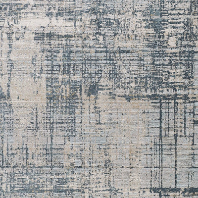 Brunswick BWK-2300 Pale Blue Area Rug by LIVABLISS