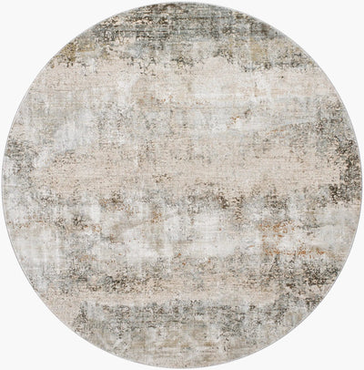 Brunswick BWK-2305 Dusty Sage Area Rug by LIVABLISS