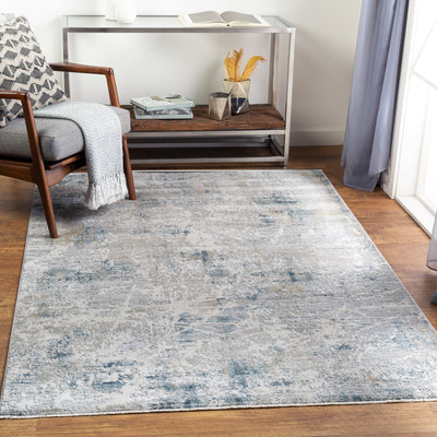 Surya Brunswick BWK-2306 Pale Blue Area Rug by LIVABLISS