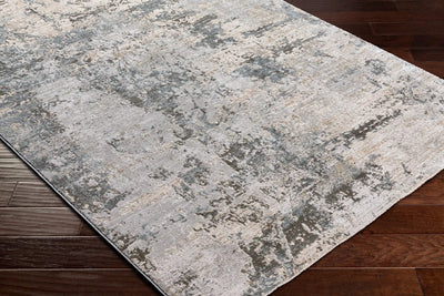 Brunswick BWK-2308 Dusty Sage Area Rug by LIVABLISS