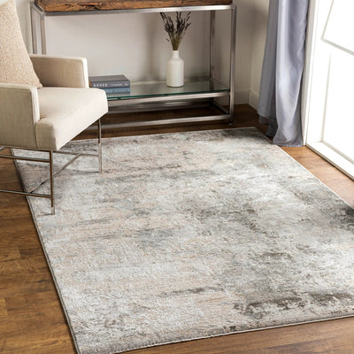 Brunswick BWK-2308 Dusty Sage Area Rug by LIVABLISS