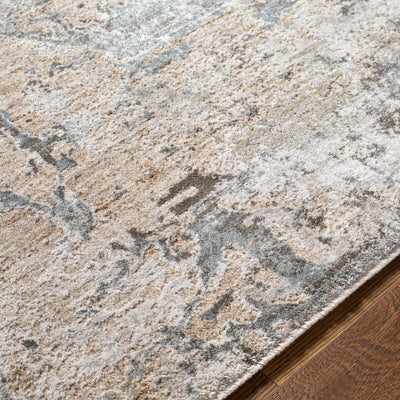 Brunswick BWK-2308 Dusty Sage Area Rug by LIVABLISS
