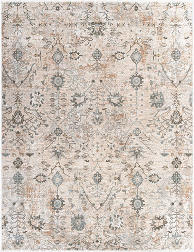 LIVABLISS Brunswick BWK-2311 Taupe Area Rug