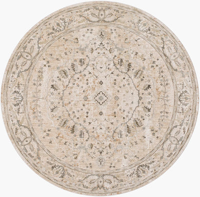 Brunswick BWK-2312 Light Beige Area Rug by LIVABLISS
